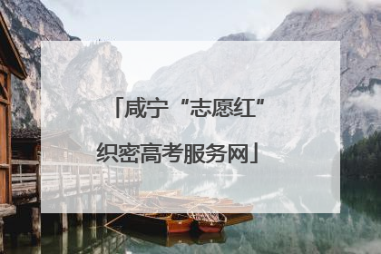 咸宁“志愿红”织密高考服务网