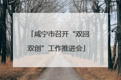 咸宁市召开“双回双创”工作推进会