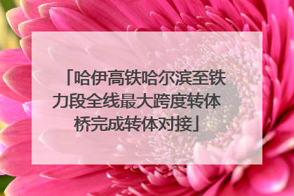 哈伊高铁哈尔滨至铁力段全线最大跨度转体桥完成转体对接