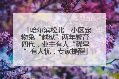 哈尔滨松北一小区宠物兔“越狱”两年繁育四代，业主有人“稀罕”有人忧，专家提醒