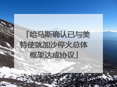 哈马斯确认已与美特使就加沙停火总体框架达成协议