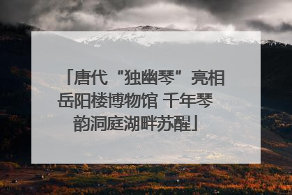唐代“独幽琴”亮相岳阳楼博物馆 千年琴韵洞庭湖畔苏醒