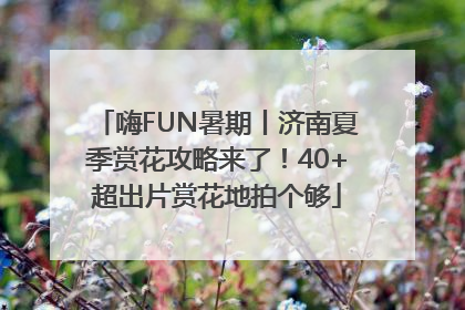 嗨FUN暑期丨济南夏季赏花攻略来了！40+超出片赏花地拍个够