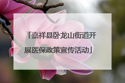嘉祥县卧龙山街道开展医保政策宣传活动
