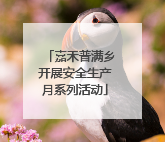 嘉禾普满乡开展安全生产月系列活动