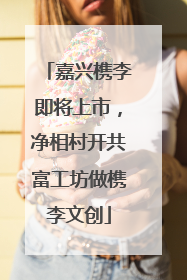 嘉兴槜李即将上市，净相村开共富工坊做槜李文创