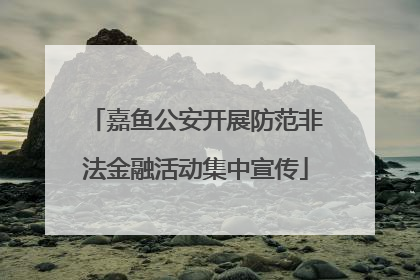 嘉鱼公安开展防范非法金融活动集中宣传