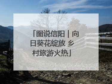图说信阳｜向日葵花绽放 乡村旅游火热