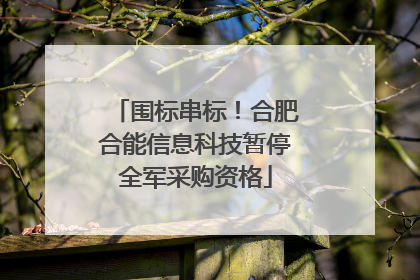 围标串标！合肥合能信息科技暂停全军采购资格