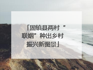 固镇县两村“联姻”种出乡村振兴新图景