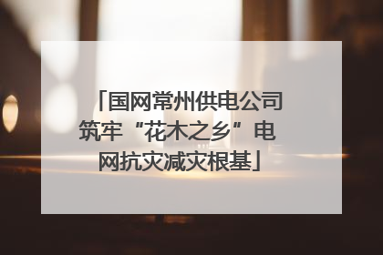 国网常州供电公司筑牢“花木之乡”电网抗灾减灾根基