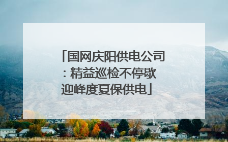 国网庆阳供电公司：精益巡检不停歇 迎峰度夏保供电