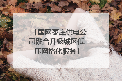 国网枣庄供电公司融合升级城区低压网格化服务