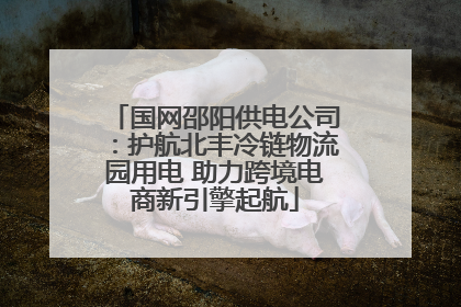 国网邵阳供电公司：护航北丰冷链物流园用电 助力跨境电商新引擎起航