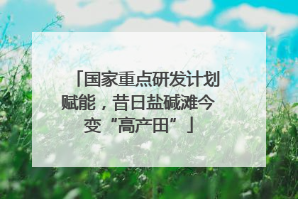 国家重点研发计划赋能，昔日盐碱滩今变“高产田”