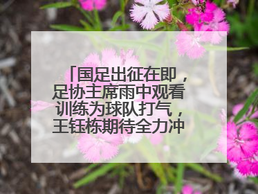 国足出征在即，足协主席雨中观看训练为球队打气，王钰栋期待全力冲击印尼队