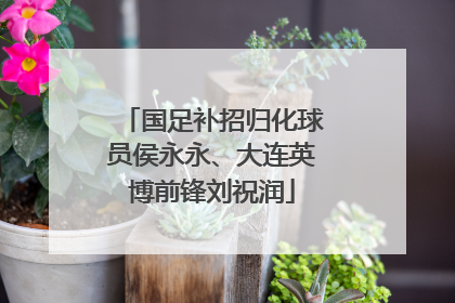 国足补招归化球员侯永永、大连英博前锋刘祝润