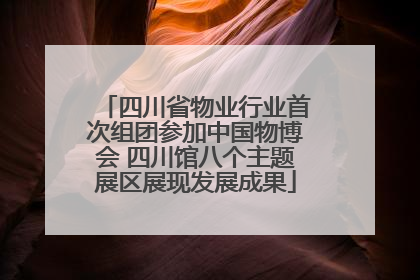 四川省物业行业首次组团参加中国物博会 四川馆八个主题展区展现发展成果