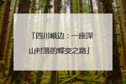 四川峨边：一座深山村落的蝶变之路