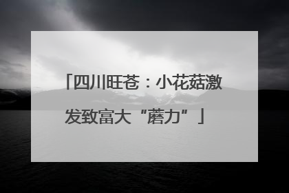四川旺苍：小花菇激发致富大“蘑力”