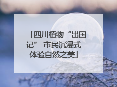 四川植物“出国记” 市民沉浸式体验自然之美