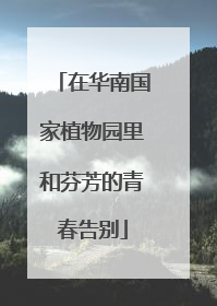 在华南国家植物园里和芬芳的青春告别