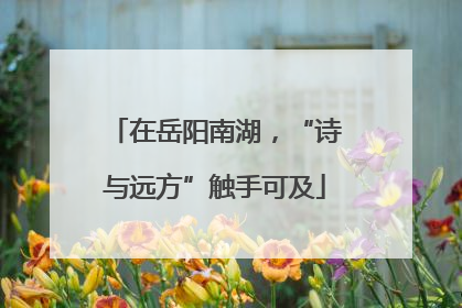 在岳阳南湖，“诗与远方”触手可及