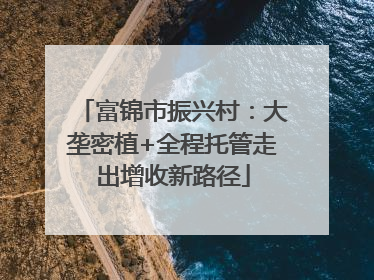 富锦市振兴村：大垄密植+全程托管走出增收新路径