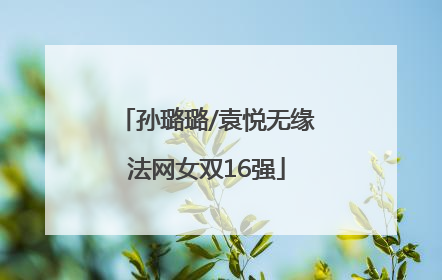 孙璐璐/袁悦无缘法网女双16强
