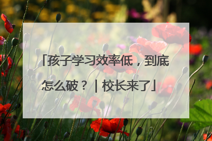 孩子学习效率低，到底怎么破？｜校长来了