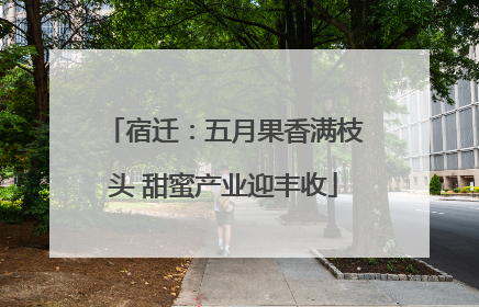 宿迁：五月果香满枝头 甜蜜产业迎丰收