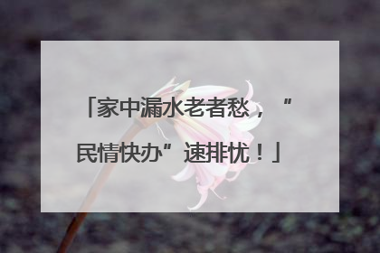 家中漏水老者愁，“民情快办”速排忧！