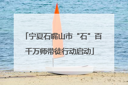 宁夏石嘴山市“石”百千万师带徒行动启动