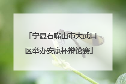 宁夏石嘴山市大武口区举办安康杯辩论赛
