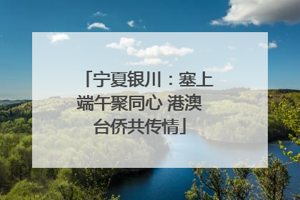 宁夏银川：塞上端午聚同心 港澳台侨共传情