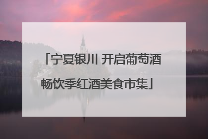 宁夏银川 开启葡萄酒畅饮季红酒美食市集