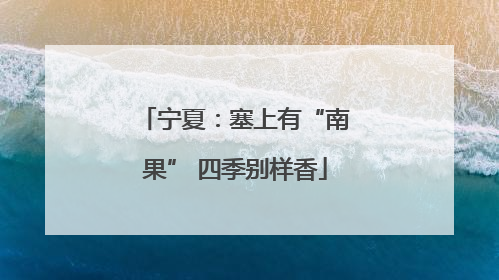 宁夏：塞上有“南果” 四季别样香