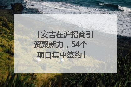 安吉在沪招商引资聚新力，54个项目集中签约