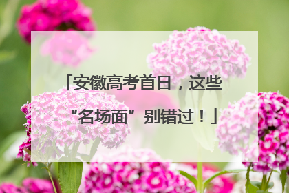 安徽高考首日，这些“名场面”别错过！