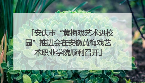 安庆市“黄梅戏艺术进校园”推进会在安徽黄梅戏艺术职业学院顺利召开