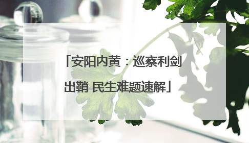 安阳内黄：巡察利剑出鞘 民生难题速解