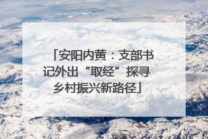 安阳内黄：支部书记外出“取经”探寻乡村振兴新路径
