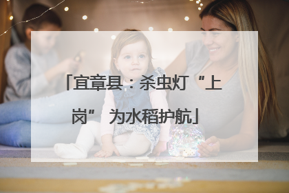 宜章县：杀虫灯“上岗” 为水稻护航
