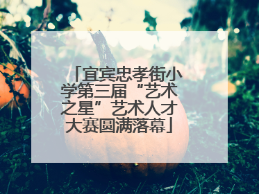 宜宾忠孝街小学第三届“艺术之星”艺术人才大赛圆满落幕