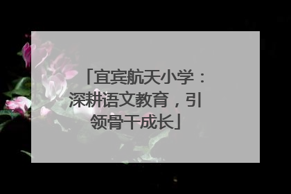 宜宾航天小学：深耕语文教育，引领骨干成长