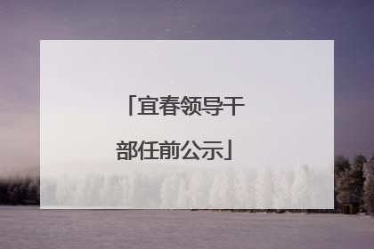 宜春领导干部任前公示