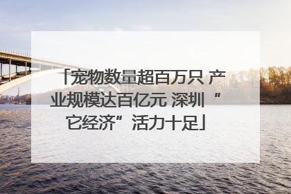宠物数量超百万只 产业规模达百亿元 深圳“它经济”活力十足