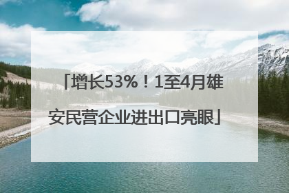 增长53%！1至4月雄安民营企业进出口亮眼