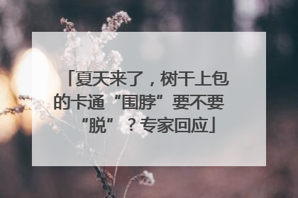 夏天来了，树干上包的卡通“围脖”要不要“脱”？专家回应