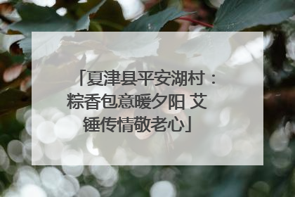 夏津县平安湖村：粽香包意暖夕阳 艾锤传情敬老心